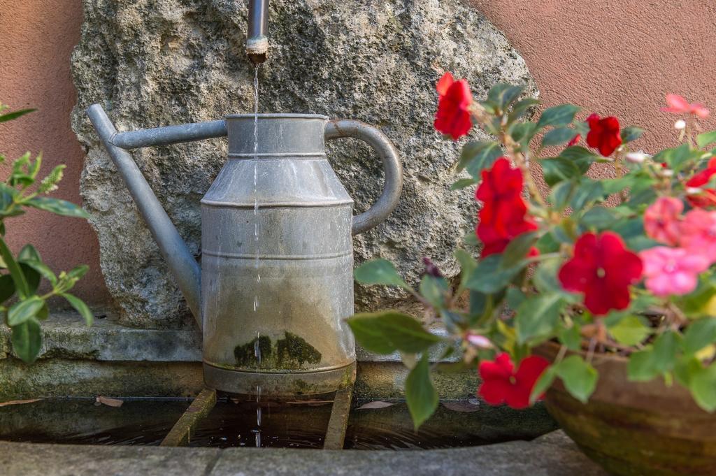 ルールマラン Mas De Foncaudette Bed & Breakfast エクステリア 写真